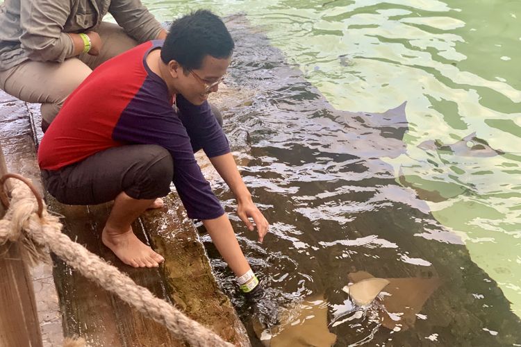 marine safari bali dimana, harga tiket marine safari bali 2025, aktivitas wisata di marine safari bali, cara ke marine safari bali, bisa ngapain aja di marine safari bali, 7 Aktivitas Wisata di Marine Safari Bali, Bisa Menyelam di Kolam Hiu, 1. Datang ke zona satwa, 2. Menyentuh satwa, 3. Bincang edukasi satwa, 4. Memberi makan satwa, 5. Menonton pertunjukan Varuna, 6. Menyelam (diving) di akuarium raksasa, 7. Menyelam di kolam akuarium hiu