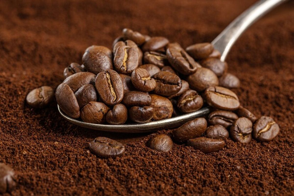 festival kopi, Kopi Arfak, Manual Brew Competition, Rizal Abidin, Cerita di Balik Kopi Asal Pegunungan Arfak Papua, Akhirnya Raih Juara
