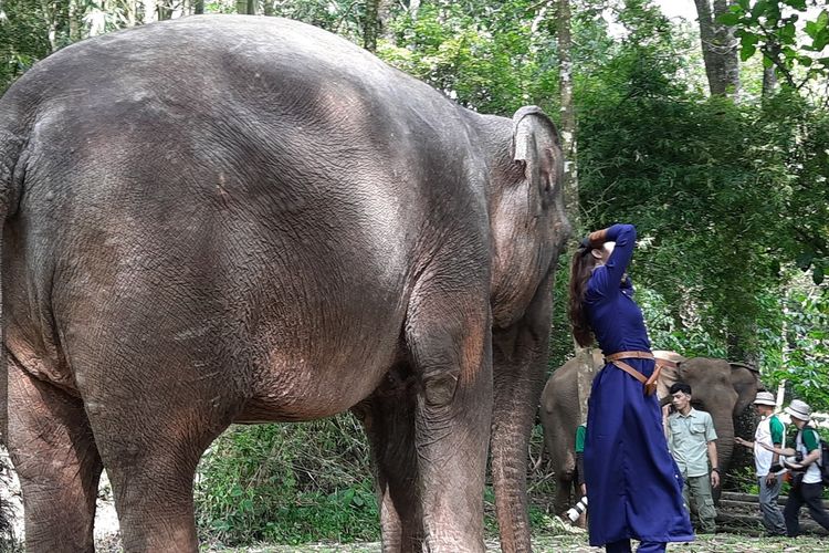 IAPVC, Taman Safari, iapvc 2025, lomba foto taman safari 2025, IAPVC 2025, Lomba Foto dari Taman Safari Berhadiah Ratusan Juta Rupiah, Total hadiah ratusan juta rupiah, Perlu observasi dan kesabaran, Enam kategori IAPVC 2025, Cara daftar IAPVC 2025