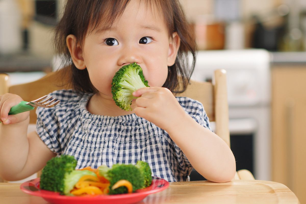 pentingnya pola makan sehat untuk anak, pola makan sehat bergizi dan seimbang, pola makan yang sehat untuk anak, pola makan sehat anak, manfaat pola makan sehat, Pentingnya Pola Makan Sehat untuk Anak, Tingkatkan Imun Tubuh, 1. Mendukung pertumbuhan dan perkembangan optimal, 2. Menjaga berat badan sehat, 3. Meningkatkan kemampuan belajar dan konsetrasi , 4. Meningkatkan sistem imun, 5. Membentuk kebiasaan sehat seumur hidup