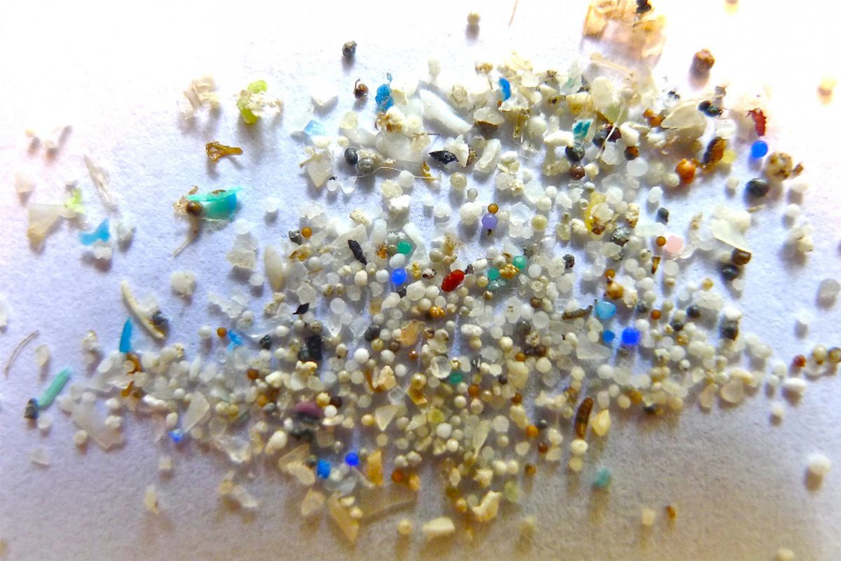 mikroplastik, dampak mikroplastik bagi kesehatan, Air hujan jakarta mengandung mikroplastik, Air hujan Jakarta, BRIN Temukan Mikroplastik di Air Hujan Jakarta, Ahli Ungkap Dampaknya ke Kesehatan, Bagaimana Mikroplastik Bisa Masuk ke Air Hujan?, Apa Dampaknya terhadap Kesehatan?, Bagaimana Tanggapan Pemerintah DKI Jakarta?, Apa Langkah Kolaboratif yang Didorong?, Seberapa Serius Temuan BRIN Ini?