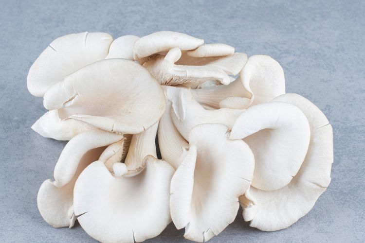 bahan dapur, cara bikin kaldu jamur tiram, kaldu jamur alami, cara membuat kaldu jamur alami, pengganti MSG alami, kaldu jamur buatan rumah, Cara Bikin Kaldu dari Jamur Tiram, Gurih Alami Tanpa MSG, Kenapa Memilih Kaldu Jamur Tiram, Persiapan Membuat Kaldu Jamur Tiram, Langkah-Langkah Membuat Kaldu dari Jamur Tiram, Cara Menggunakan Kaldu Jamur Tiram, Tips Agar Kaldu Jamur Lebih Gurih dan Awet