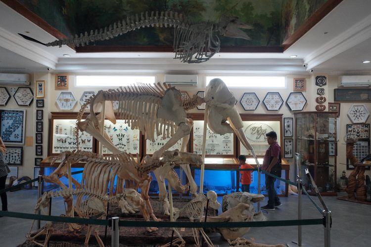 wisata Medan, alternatif wisata danau toba, tempat wisata keluarga medan, liburan di kota medan, Air Danau Toba Keruh, Ini 5 Alternatif Wisata Populer di Medan, 1. Penangkaran Buaya Asam Kumbang, 2. Dhuna Glow Medan Zoo, 3. Taman Hutan Kota Cadika, 4. Kolam Renang Bahagia, 5. Rahmat International Wildlife Museum &amp; Gallery
