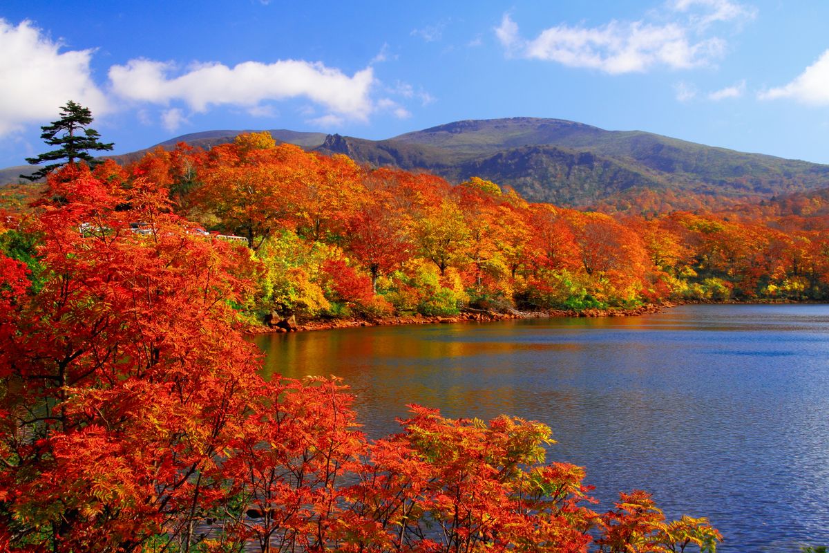 wisata jepang, wisata musim gugur di jepang, liburan musim gugur di jepang, wisata tohoku, spot melihat momiji jepang, Mau Lihat Daun Momiji di Jepang? 6 Destinasi Musim Gugur Ini Sayang Dilewatkan