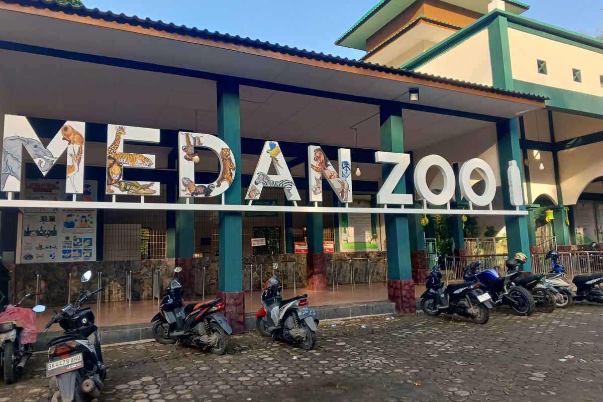 wisata Medan, alternatif wisata danau toba, tempat wisata keluarga medan, liburan di kota medan, Air Danau Toba Keruh, Ini 5 Alternatif Wisata Populer di Medan, 1. Penangkaran Buaya Asam Kumbang, 2. Dhuna Glow Medan Zoo, 3. Taman Hutan Kota Cadika, 4. Kolam Renang Bahagia, 5. Rahmat International Wildlife Museum &amp; Gallery