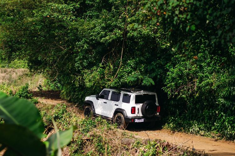pengalaman off road, GWM Tank 300 Diesel, SUV Diesel Indonesia, Performa dan Kenyamanan, Pengalaman Off Road dengan GWM Tank 300 Diesel di Cisadon Sentul, Habitat Asli, Dari Jalan Aspal ke Tanah Merah, Jalur Off Road Cisadon, Kesimpulan