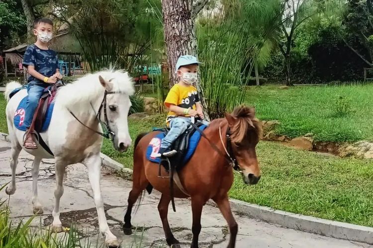 Tempat wisata ramah anak di Bandung, tempat wisata ramah anak di Bandung, tempat wisata di Bandung, tempat wisata ramah anak di bandung, tempat wisata di bandung untuk anak, tempat wisata di bandung yang lagi hits, rekreasi di bandung lembang, 10 Wisata Ramah Anak di Bandung, Pas untuk Libur Panjang Idul Adha, 1. Farmhouse Susu Lembang, 2. Orchid Forest Cikole, 3. Panghegar Waterboom, 4. Floating Market Lembang, 5. Jendela Alam, 6. Dusun Bambu, 7. Trans Studio Bandung, 8. Dago Dreampark, 9. Minimania Lembang, 10. Museum Geologi Bandung