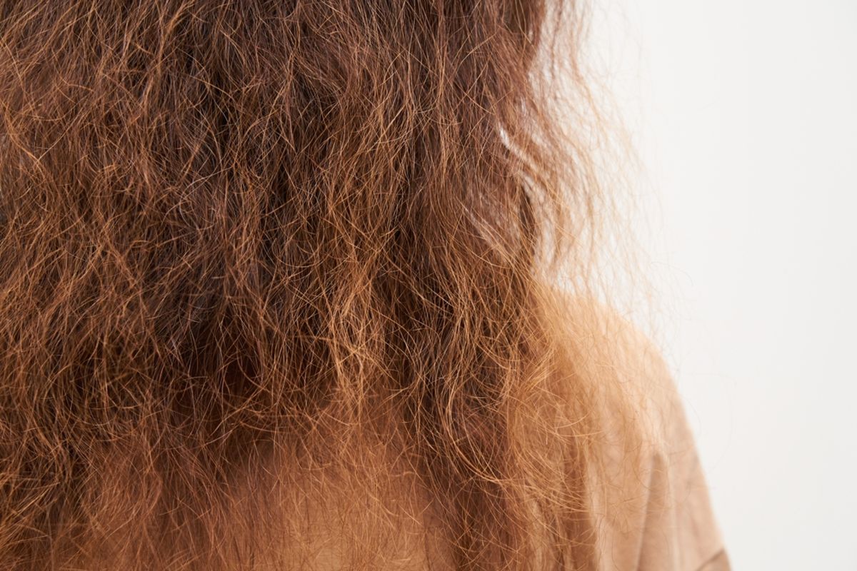 perawatan rambut, perawatan rambut rusak, protein rambut untuk apa, moisturizer rambut, apa yang dibutuhkan rambut rusak, rambut rusak dan kering pakai apa, Kapan Harus Gunakan Protein dan Moisturizer untuk Rambut Rusak?, Kapan rambut membutuhkan protein, Kapan rambut membutuhkan moisturizer, Pentingnya keseimbangan antara protein dan moisturizer, Cara menentukan kebutuhan rambut