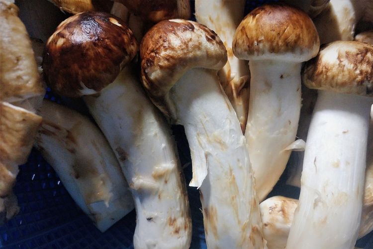 makanan termahal di dunia, makanan termahal di dunia 2025, makanan termahal di dunia selain caviar, kuliner mahal, Ada dari Indonesia! Ini Daftar 10 Makanan Termahal di Dunia, 1. Truffle Putih Alba, 2. Daging Kobe, 3. Daging Wagyu A5, 4. Kaviar Almas, 5. Saffron, 6. Emas yang Bisa Dimakan (Edible Gold), 7. Jamur Matsutake, 8. Gooseneck Barnacles (Teritip Leher Angsa), 9. Cuka Balsamic Aceto, 10. Kopi Luwak