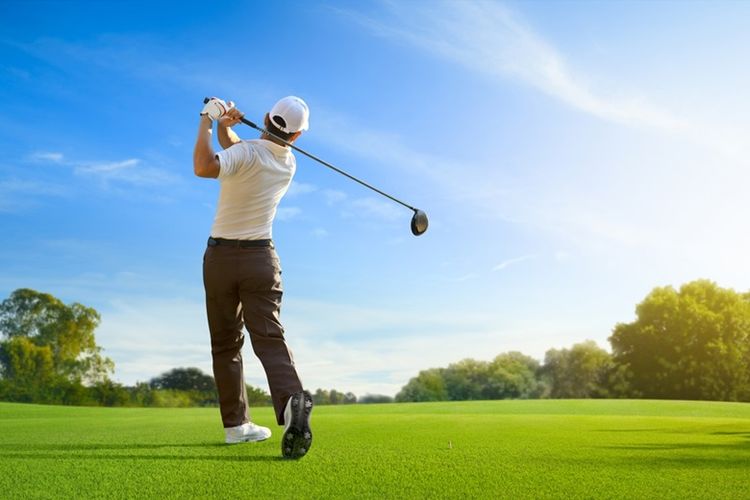 kesehatan tulang, Olahraga golf, Stick golf, harga stick golf, Harga stick golf satuan, olahraga golf, manfaat golf untuk kesehatan, korupsi inhutani, Dicky Yuana Rady, Djunaidi Nur, korupsi PT Inhutani V, stick golf, stick golf harga, stick golf untuk pemula, stick golf callaway, stick golf taylormade, harga stick golf satuan, harga stick golf lengkap, manfaat bermain golf, berapa harga stik golf, Olahraga Golf Bermanfaat untuk Kesehatan Tulang, Berapa Harga Stick Golf?