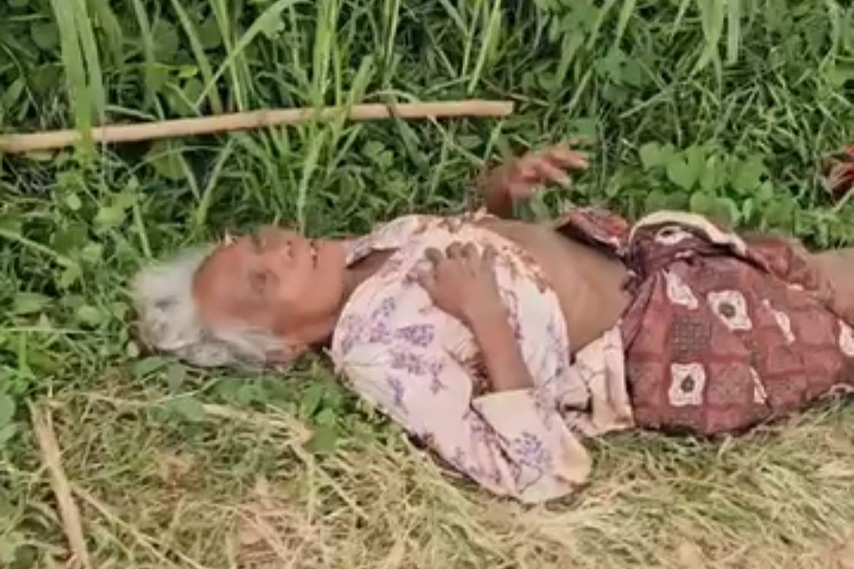Probolinggo, Lansia, lansia, anak aniaya ibu kandung, Anak pukul ibu kandung, anak usir ibu kandung, anak usir ibu di probolinggo, ibu lansia diusir anak, viral Probolinggo, penganiayaan orang tua, anak buang orang tua, anak dibuang orang tuanya di pinggir jalan, Dibuang ke Jalan oleh Anak, Nenek 76 Tahun di Probolinggo Kini Tinggal di Panti Lansia, Viral di Medsos, Hubungan Tak Harmonis antara Ibu dan Anak, Upaya Mediasi dan Respons Pemerintah, Proses Hukum: Polisi Selidiki Dugaan Penganiayaan