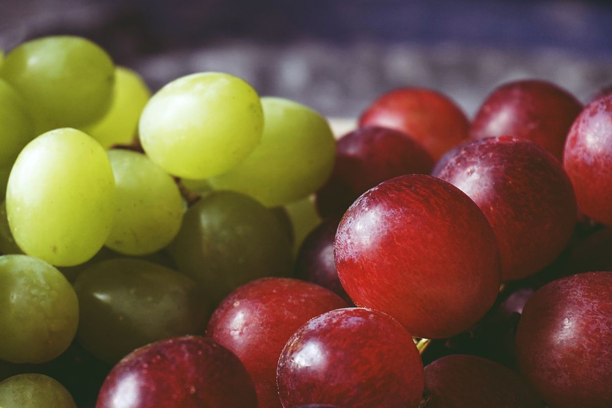 anggur, Anggur, Cara menyimpan anggur, cara menyimpan anggur agar tahan lama, Cara Menyimpan Buah Anggur Agar Tak Mudah Busuk dan Tetap Segar, 1. Beli anggur yang masih segar, 2. Simpan di tempat dingin, 3. Gunakan wadah yang tepat, 4. Sirkulasi udara harus terjaga, 5. Cuci hanya saat akan dikonsumsi