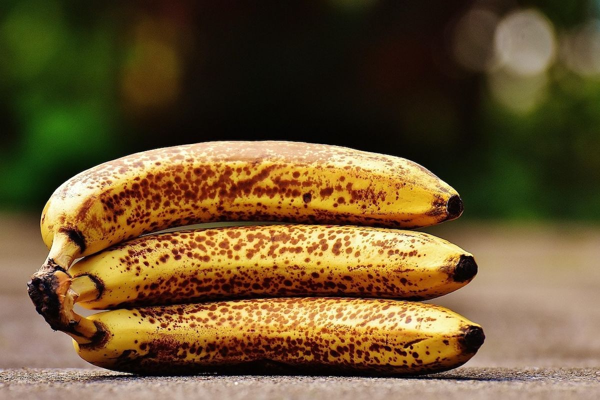 pisang kematangan, bolu pisang, Bolu pisang, resep bolu pisang, cara mengolah pisang kematangan, Jangan Dibuang! Begini Cara Mengolah Pisang Kematangan Jadi Bolu Lezat