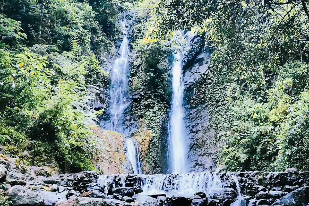 wisata alam Bogor, 8 Wisata Alam Bogor untuk Libur Lebaran, Sejuk dan Seru, 1. Situ Gede, 2. Telaga Saat, 3. Taman Wisata Gunung Pancar, 4. Taman Safari Indonesia, 5. Kebun Raya Bogor, 6. Curug Cilember, 7. Kebun Raya Cibodas, 8. Taman Bunga Nusantara