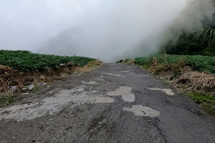 Wonosobo, Ini Berbagai Jalur ke Wisata Dieng yang Bisa Dilalui Sebagai Alternatif