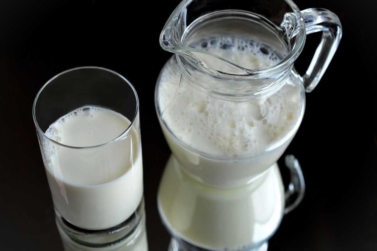 susu, kalsium, 6 Makanan Mengandung Kalsium Lebih Tinggi Bisa Jadi Pengganti Susu