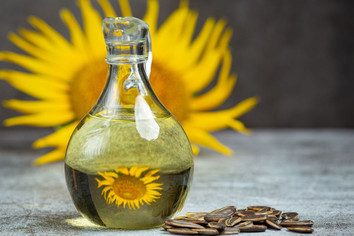 minyak biji bunga matahari, sunflower oil, Magic of Nature, Mengenal Manfaat Sunflower Oil, Merawat Skin Barrier Tubuh Tetap Sehat dan Lembap, Magic of Nature Hadirkan Rangkaian Perawatan Berbasis Sunflower Oil, Minyak Biji Bunga Matahari Organik Menjaga Skin Barrier, Manfaat Sunflower Oil untuk Kesehatan Skin Barrier, Resmi Bersertifikasi Internasional