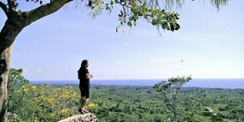 Wakatobi, Pantai Taduno, Desa Liya Togo, 4 Wisata Wakatobi yang Wajib Dikunjungi Pencinta Alam, 1. Pantai Taduno, 2. Desa Pajam, 3. Desa Liya Togo, 4. Puncak Jamakara