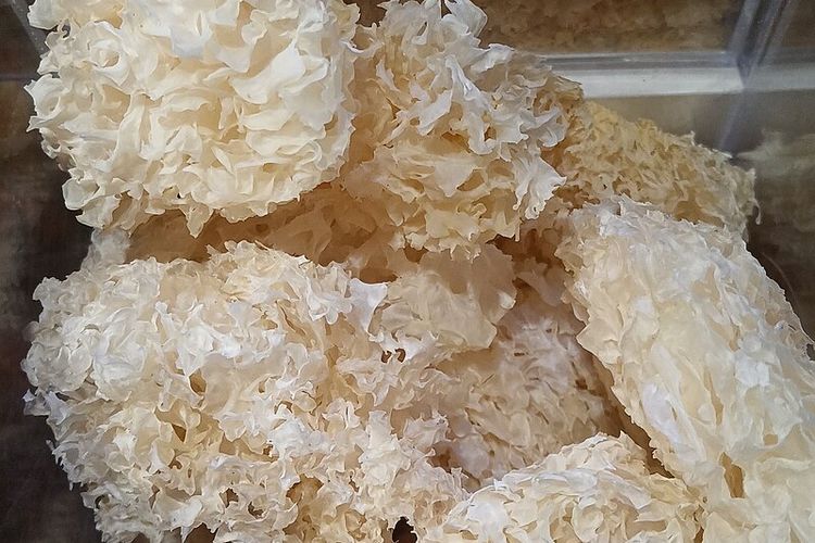 bahan makanan, 6 Bahan Makanan yang Justru Lebih Baik Tidak Dicuci Sebelum Dimasak