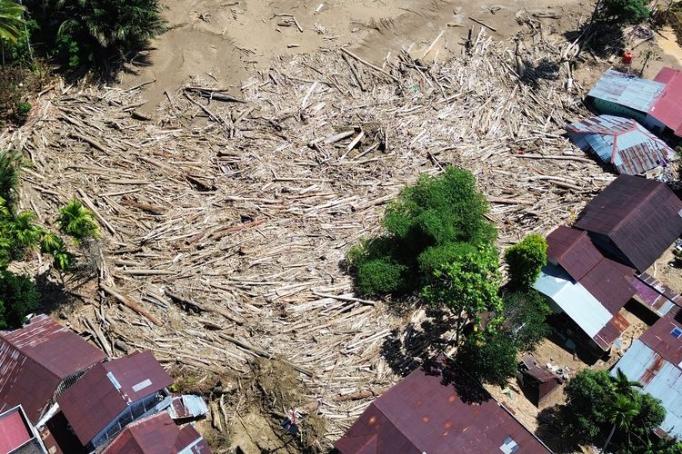 kayu gelondongan, Sumatera, banjir Sumatera, banjir sumbar, banjir aceh, Banjir Sumut, banjir sumatera, kayu gelondongan banjir sumatera, BERITA FOTO: Jejak Kayu Gelondongan yang Terbawa Arus Banjir Sumatera, Penjelasan Kemenhut soal kayu gelondongan, Areal hutan produksi, Pemanfaatan kayu gelondongan, Kerusakan masif pada ekosistem hulu, Pembukaan hutan secara masif