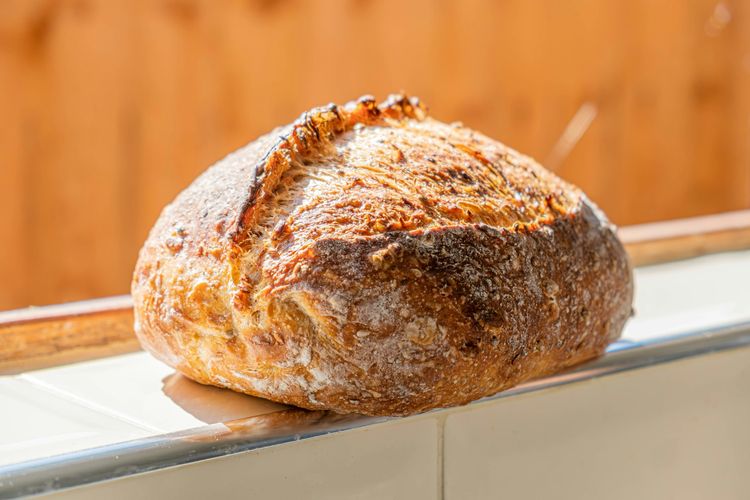 sourdough, roti sourdough, asam laktat, Mengapa Roti Sourdough Rasanya Asam?