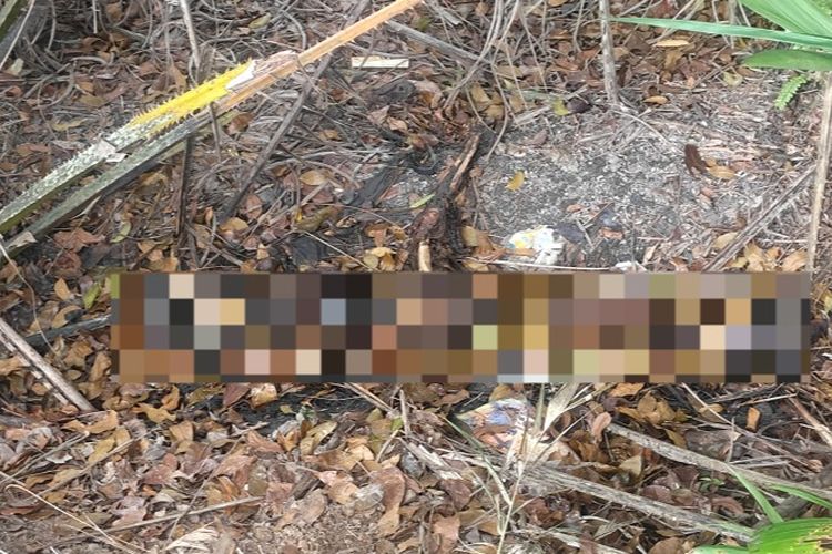 Palembang, Identitas Kerangka Terbakar di Banyuasin Ternyata Cristina Pensiunan Guru Korban Perampokan Palembang, Identifikasi Melalui DNA dan Gigi, Motif Ekonomi dan Kedekatan Pelaku, Kronologi Pembunuhan Sadis, Ancaman Hukuman Mati