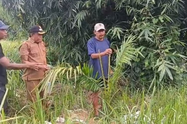 Dedi Mulyadi, Dedi Mulyadi Larang Penanaman Sawit di Jabar, Kebun Eksisting Diminta Fokus ke Komoditas Unggulan, Apa isi utama larangan penanaman sawit di Jawa Barat?, Langkah konkret apa yang harus dilakukan pemerintah daerah?, Mengapa Jawa Barat dinilai tidak cocok untuk sawit?, Bagaimana kasus sawit di Cirebon menjadi sorotan?