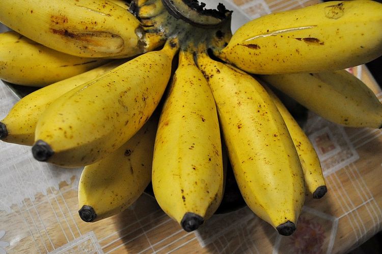 pangan nasional pengganti beras, bahan pangan pengganti nasi, pangan pengganti nasi, alternatif pangan lokal selain beras, alternatif pangan lokal pengganti beras, Saat Harga Beras Mahal, Pangan Lokal Bisa Jadi Solusi