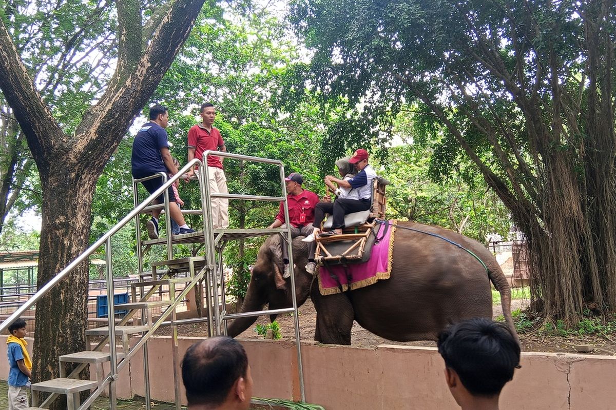 Kemenhut, Gajah Tunggang, Larangan Gajah Tunggang Berlaku Nasional, Pelanggar Terancam Sanksi hingga Pencabutan Izin