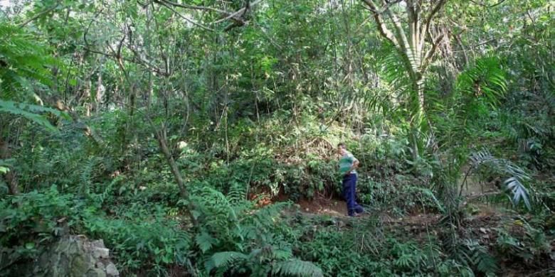 hutan kota, Hutan Kota Pesanggrahan Sangga Buana, Hutan Kota GBK, 6 Hutan Kota di Jakarta untuk Liburan Akhir Pekan yang Asri, 1. Hutan Kota Pesanggrahan Sangga Buana, 2. Hutan Kota GBK, 3. Hutan Kota Kemayoran, 4. Hutan Mangrove PIK, 5. Hutan Kota Srengseng, 6. Hutan Kota Munjul