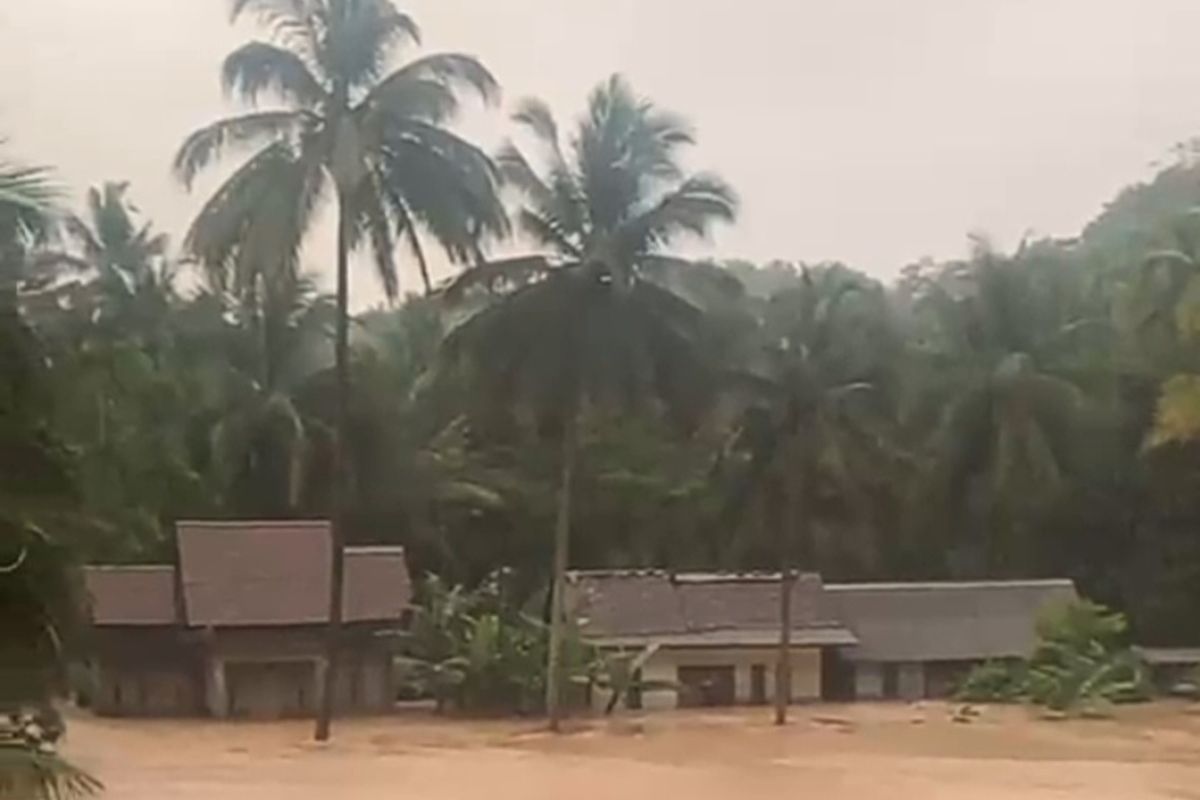 petani, Dedi Mulyadi, Pangandaran, Sawah terendam banjir, Petani Pangandaran Curhat ke Dedi Mulyadi: Sawah Kami 300 Hektare Terendam Banjir