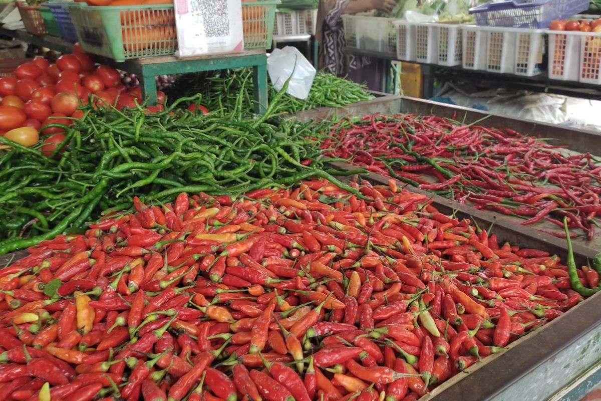 menanam cabai, mendagri tito karnavian, harga cabai tinggi, inflasi daerah, Harga Cabai Merah Melonjak, Mendagri Tito Minta Pemda Gerakkan Warga Menanam Sendiri