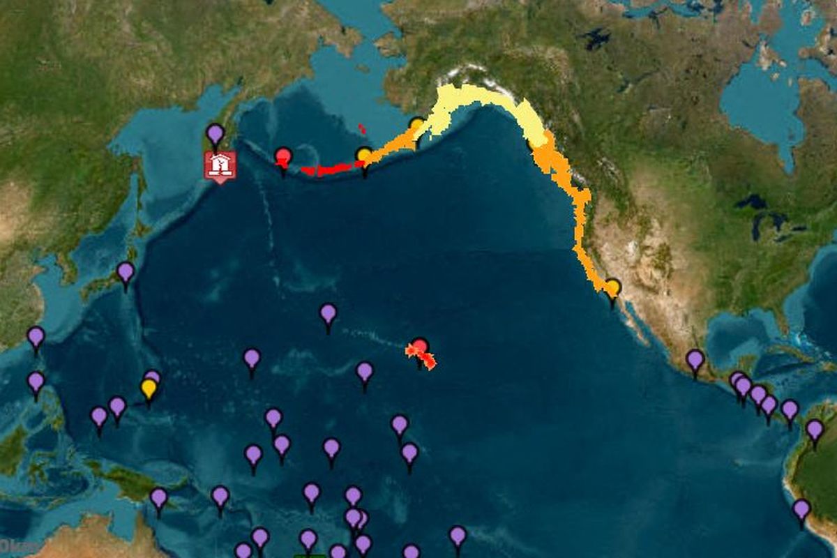 gempa Rusia, Gempa Rusia, tsunami, Tsunami, Gempa Rusia 30 Juli, gempa rusia, gempa rusia hari ini, gempa rusia 30 juli, Palung Kurile Kamchatka, Palung Kurile-Kamchatka, Sumber Gempa Rusia yang Picu Tsunami di Sejumlah Negara, Sumber Gempa Rusia 30 Juli 2025, Mengenal Palung Kurile-Kamchatka, Palung Kuril-Kamchatka Memiliki Aktivitas Seismik yang Tinggi, Sejarah Gempa dan Tsunami di Palung Kuril-Kamchatka
