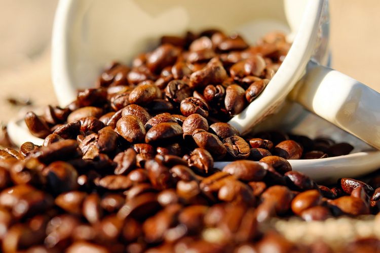 kopi, mitos kopi, Kopi, fakta kopi, Mitos dan Fakta Kopi, Mitos dan Fakta Kopi, Penting Diketahui Pencinta Kopi, 1. Mitos: Kafein menambah energi, 2. Mitos: Kopi buruk untuk kesehatan, 3. Mitos: Kopi baik untuk kesehatan, 4. Mitos: Kopi tanpa kafein rasanya jelas tidak enak, 5. Mitos: Kopi harus disajikan panas, 6. Mitos: Kafein bikin kecanduan