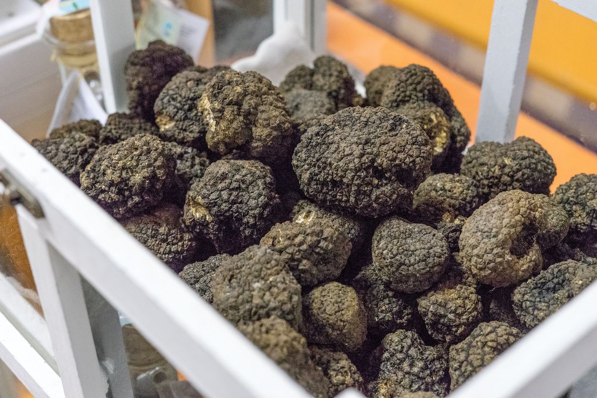 makanan, makanan termahal, makanan termahal di dunia, kopi termahal di dunia, cuka balsamic, makanan termahal di dunia 2025, makanan termahal di dunia selain caviar, 10 Makanan Termahal di Dunia, dari Truffle Putih hingga Kopi Luwak, 1. Truffle Putih Alba, 2. Daging Kobe, 3. Daging Wagyu A5, 4. Kaviar Almas, 5. Saffron, 6. Emas yang Bisa Dimakan (Edible Gold), 7. Jamur Matsutake, 8. Gooseneck Barnacles (Teritip Leher Angsa), 9. Cuka Balsamic Aceto, 10. Kopi Luwak