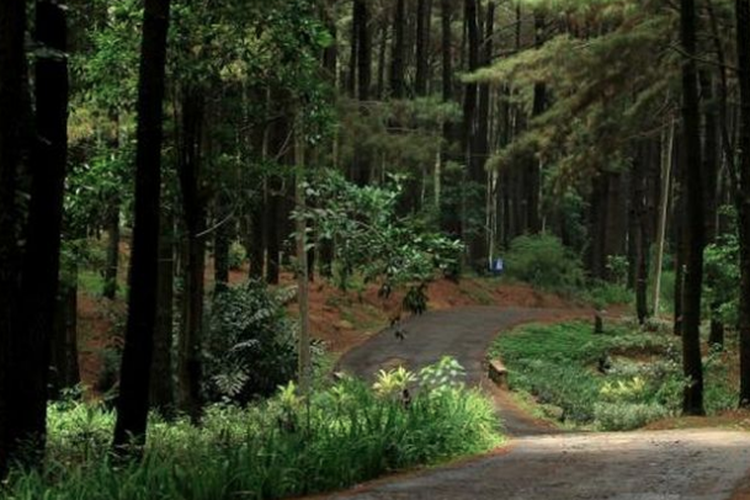 Bogor, Glamping, 7 Tempat Glamping di Bogor, Nikmati Liburan di Tengah Alam, 1. The Highland Park Resort, 2. Forrester Glamping Co, 3. Alesano Village, 4. Puncak Langit Glamping, 5. Glamping Gunung Geulis Adventure Camp, 6. Tenda di Bawah Bintang (Versi Bogor), 7. Gunung Pancar (Sentul)