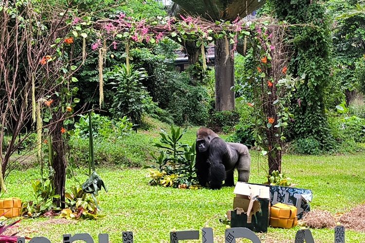 wisata gratis jakarta, tempat wisata KJP Plus, liburan hemat long weekend, 15 Tempat Wisata Gratis untuk Penerima KJP Plus di Jakarta, 1. Ancol Taman Impian, 2. Taman Margasatwa Ragunan, 3. Taman Mini Indonesia Indah (TMII), 4. Museum Sejarah Jakarta, 5. Museum Taman Prasasti, 6. Museum MH Thamrin, 7. Museum Joang 45, 8. Museum Seni Rupa dan Keramik, 9. Museum Wayang, 10. Museum Tekstil, 11. Museum Bahari, 12. Museum Betawi, 13. Rumah Si Pitung, 14. Taman Benyamin Sueb, 15. Museum Arkeologi Onrust