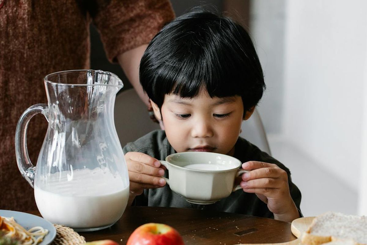 susu difortifikasi, anak 1 tahun minum susu, anak usia di atas 1 tahun, susu anak di atas 1 tahun, susu untuk anak di atas 1 tahun, anak di atas 1 tahun susu, Perlukah Anak di Atas 1 Tahun Minum Susu? Ini Penjelasan Dokter