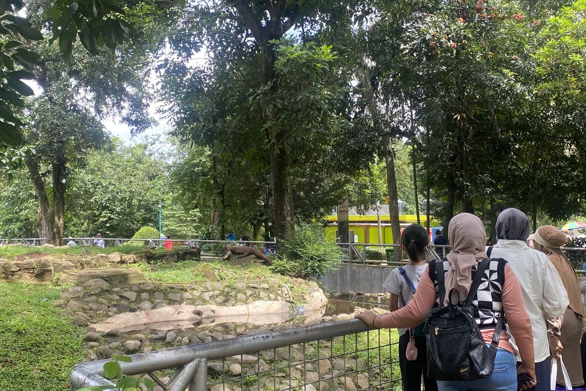 Ragunan, Libur Akhir Tahun ke Ragunan, Ini Rute Naik KRL, Transjakarta, dan MRT