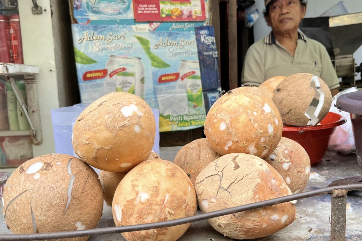 Harga kelapa, harga kelapa, Harga kelapa naik, kelapa mahal, kelapa naik meski tidak lebaran, Sudah Tidak Lebaran, Kenapa Harga Kelapa Tetap Mahal?