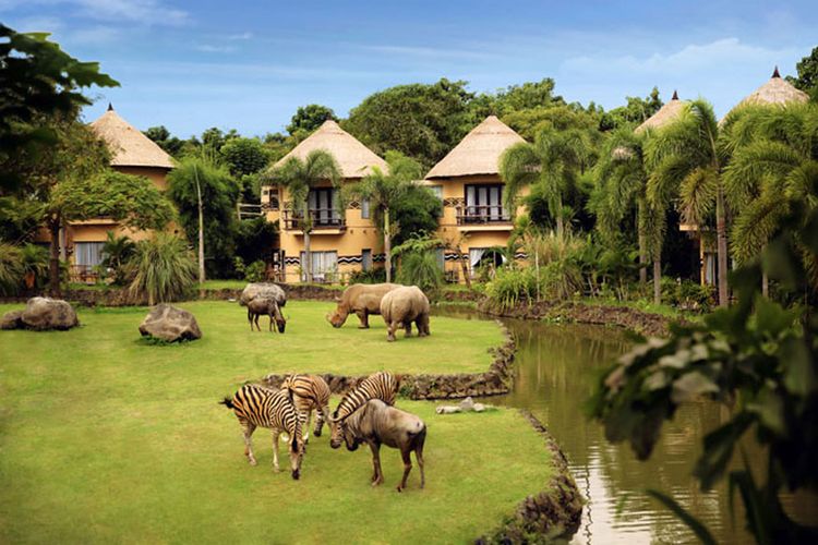 7 Pengalaman Menginap Unik untuk Memulai Tahun 2026, 1. Desert Bubble di Gurun Sahara, Maroko, 2. Sextantio Le Grotte Della Civita, Matera, Italia, 3. Safari Lodge di Savana Afrika, Tanzania, 4. Hotel Costa Verde, Kosta Rika, 5. Taj Lake Palace, Udaipur, India, 6. Motel Pioneertown, California, Amerika Serikat Pioneertown Motel, 7. Resor Apukka, Lapland, Finlandia