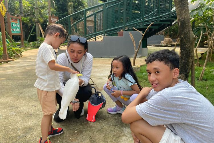 harga tiket masuk Ancol, Harga tiket masuk Ancol, harga tiket masuk ancol dan dufan, harga tiket masuk ancol mobil, harga tiket masuk ancol libur sekolah 2025, promo masuk ancol libur sekolah 2025, Harga Tiket Masuk Ancol Selama Libur Sekolah 2025, Ada Promo Paket Keluarga