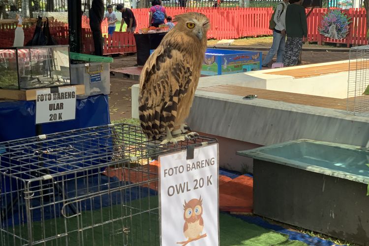 pameran flona 2025 lapangan banteng, pameran flona 2025, aktivitas wisata di pameran flona 2025, ada apa saja di pameran flona 2025, Wisata Gratis Jakarta, Ada Pameran Flona 2025 di Lapangan Banteng, Jadwal Pameran Flona 2025, Ada apa saja di Pameran Flona?, Ide aktivitas wisata edukasi dan belanja, Rute menuju Pameran Flona 2025