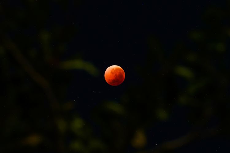Gerhana Bulan Total, 7 Tips Lihat Gerhana Bulan Total 3 Maret 2026, Catat agar Tidak Zonk!, 1. Pilih lokasi terbuka yang menghadap timur, 2. Cari tempat yang jauh dari lampu kota, 3. Gunakan teropong atau teleskop (Jika Ada), 4. Siapkan peralatan foto, 5. Datang lebih awal, 6. Pastikan langit cerah sebelum berangkat, 7. Ajak Teman atau Komunitas