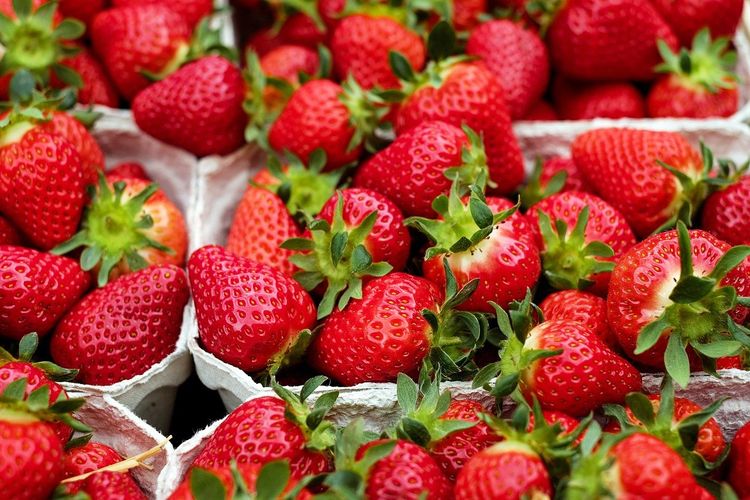 Stroberi putih, stroberi merah, Beda Stroberi Merah dan Stroberi Putih, Tak Cuma dari Warna