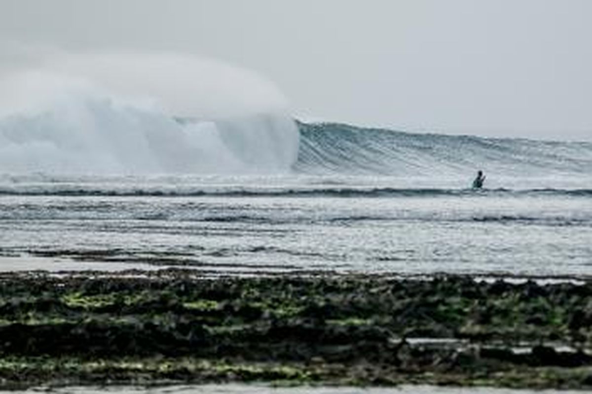 Pantai Plengkung, Banyuwangi, Jawa Timur, area terpencil pantai plengkung, Area Terpencil Pantai Plengkung, Tempat Surfing Kelas Dunia di Banyuwangi