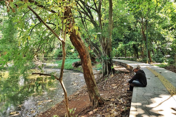 Hutan Kota Srengseng, Hutan Kota di Jakarta Barat, hutan kota srengseng jakarta barat, hutan kota srengseng tutup jam berapa, hutan kota srengseng buka jam berapa, Lokasi, Jam Buka, dan Harga Tiket Hutan Kota Srengseng, Wisata Hutan di Jakarta Barat