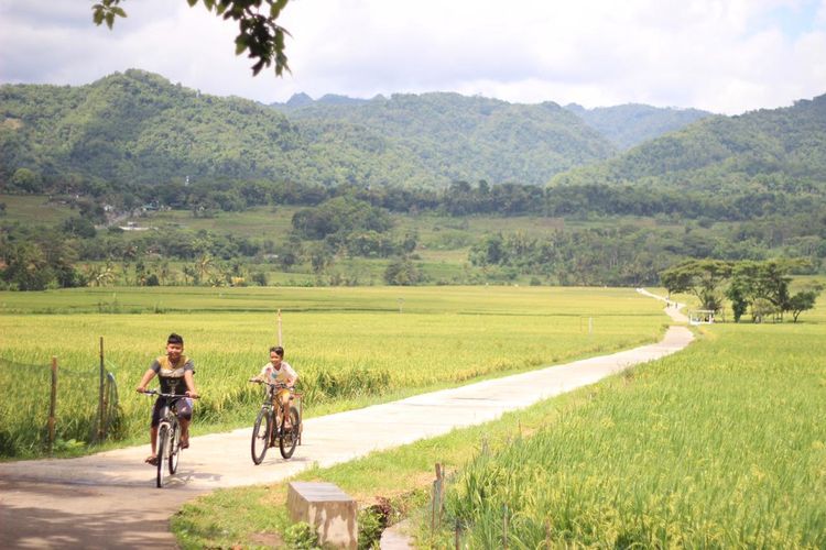 wisata Persawahan Nanggulan, geblek, Berkunjung ke Wisata Persawahan Yogyakarta, Jangan Lupa Cicipi Kuliner Geblek