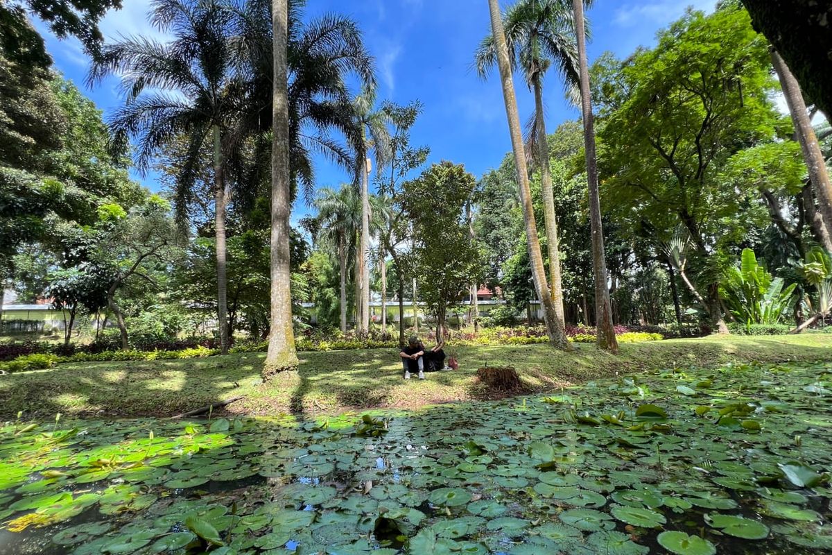 Jakarta, Pramono Anung, ruang terbuka hijau, taman 24 jam, pramono anung, Ruang Terbuka Hijau, 5 Taman di Jakarta Kini Buka 24 Jam, Simak Lokasi dan Fasilitasnya, Daftar lokasi dan fasilitas 5 taman di Jakarta yang buka 24 jam, 1. Taman Menteng, 2. Taman Lapangan Banteng, 3. Taman Langsat, 4. Taman Ayodya (Taman Ayodia), 5. Taman Literasi Martha Tiahahu, Wajib booking online, Pertumbuhan UMKM di taman