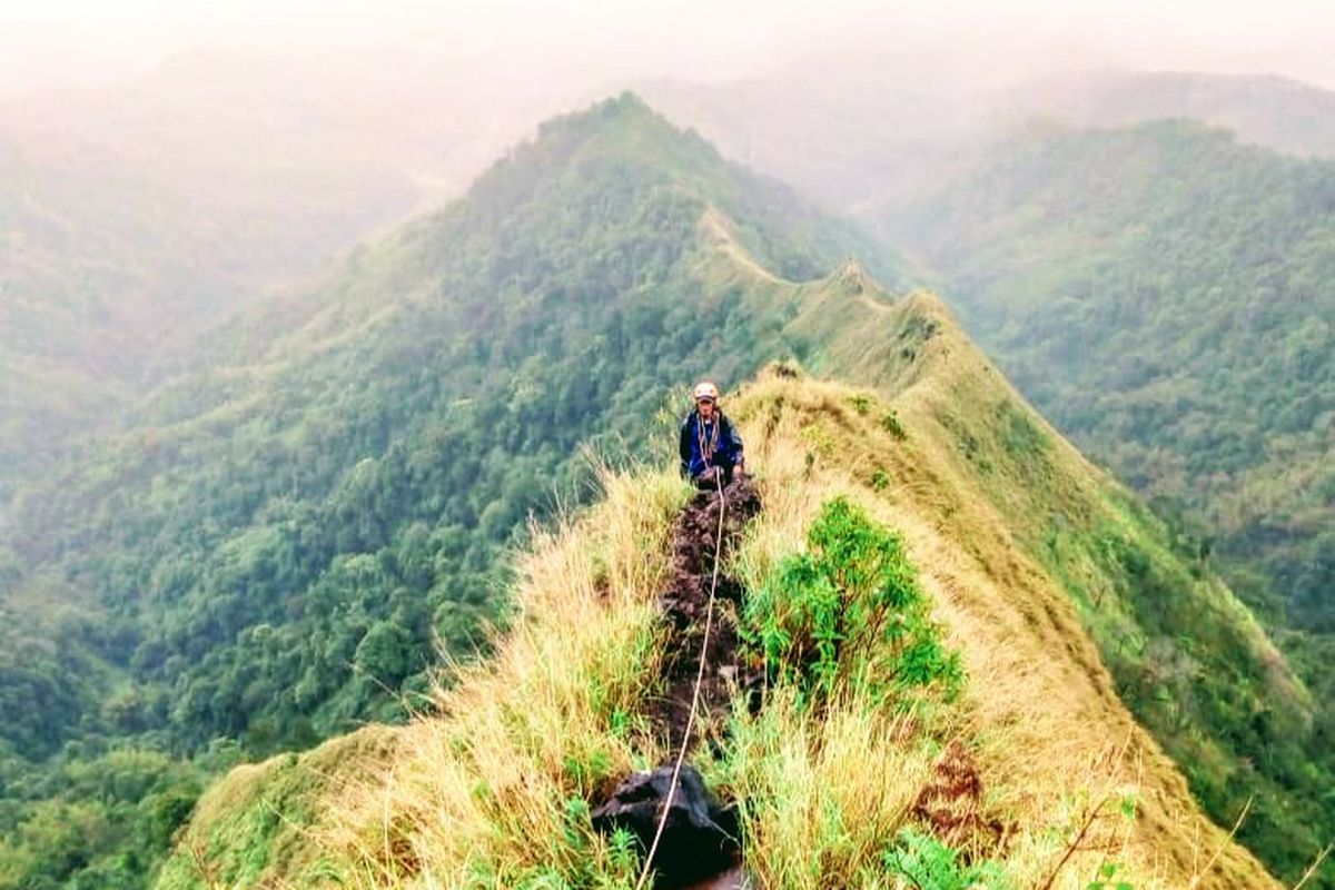 Argopuro, gugusan argopuro yang dilarang didaki, gunung di bondowoso, gunung piramid dilarang didaki, gunung saeng dilarang didaki, gunung gulgulan dilarang didaki, Perhutani Larang Pendakian Tiga Gunung di Gugusan Pegunungan Argopuro, Apa Alasannya?